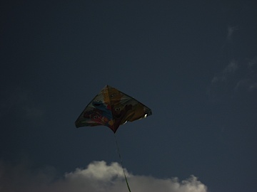 Sesame Street Kite