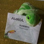 My Top 5 Reasons the Roaming Gnome Needs to Visit Four Seasons Lanai Hawaiian Name