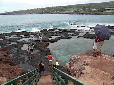 Lanai Tidepools