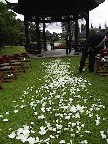 Temple Flower Path