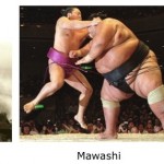 21 Slang Words You Should Know Before Visiting Hawaii (Part 2) malo-mawashi-mankini
