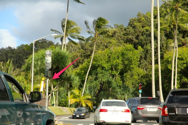 King Kamehameha statue at Castle Junction