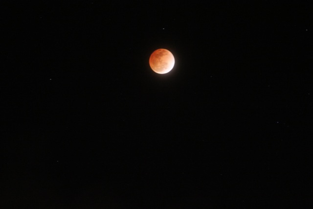 Blood Moon