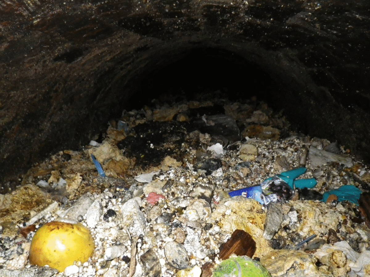 fatberg