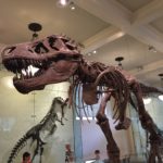 NYDC16-day7-6