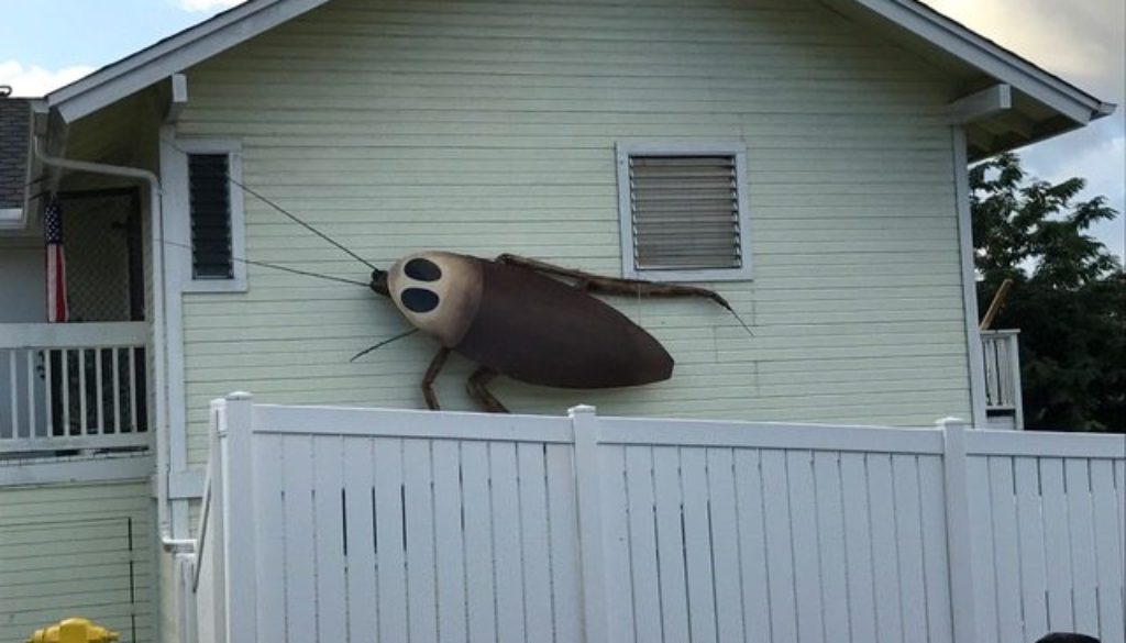 halloween-roach