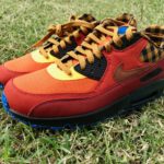 Turning Passion to Profit? nike-am90-campfire - 9