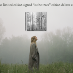 taylor-swift-in-the-trees